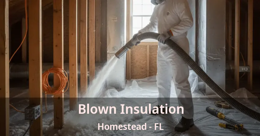 Blown Insulation Homestead - FL