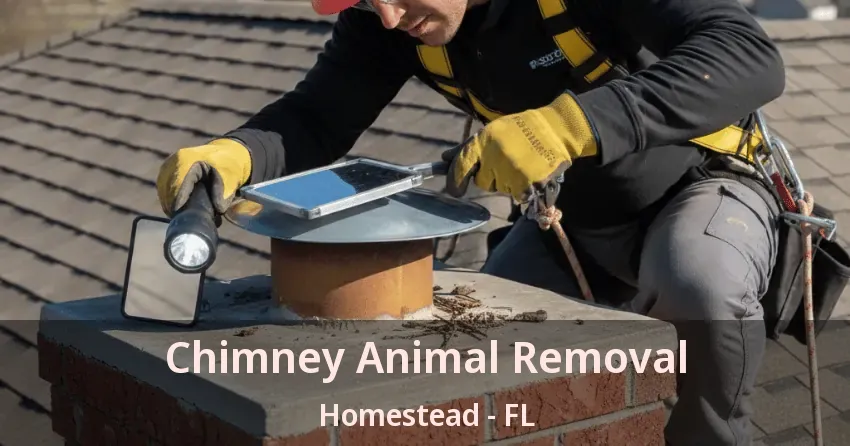 Chimney Animal Removal Homestead - FL