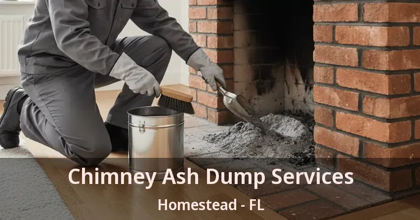 Chimney Ash Dump Services Homestead - FL