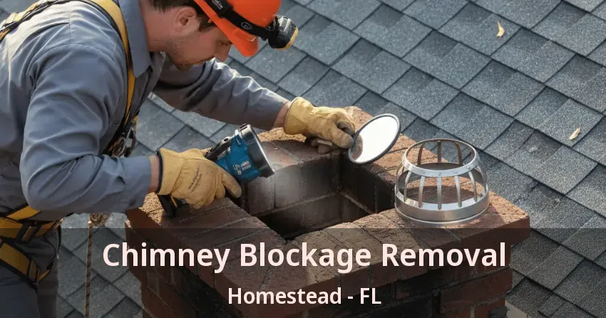 Chimney Blockage Removal Homestead - FL