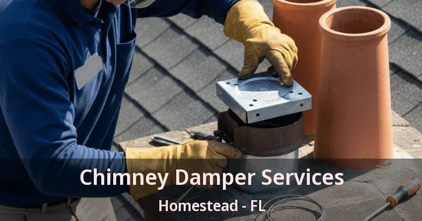 Chimney Damper Services Homestead - FL