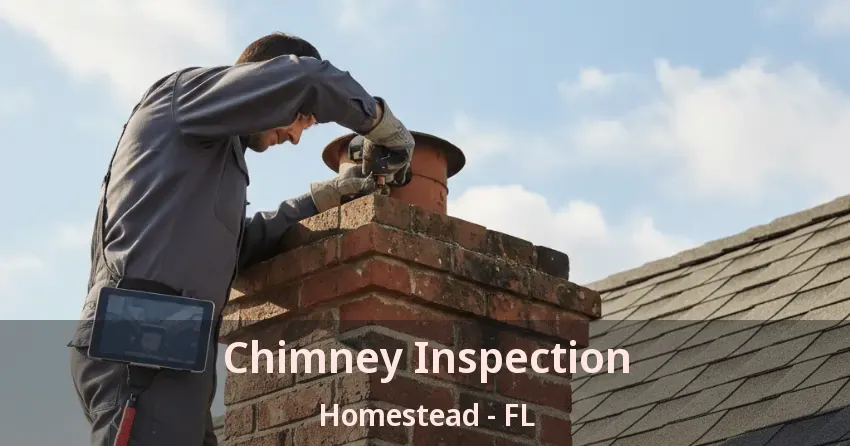 Chimney Inspection Homestead - FL