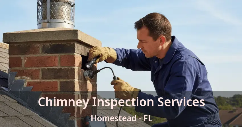 Chimney Inspection Services Homestead - FL