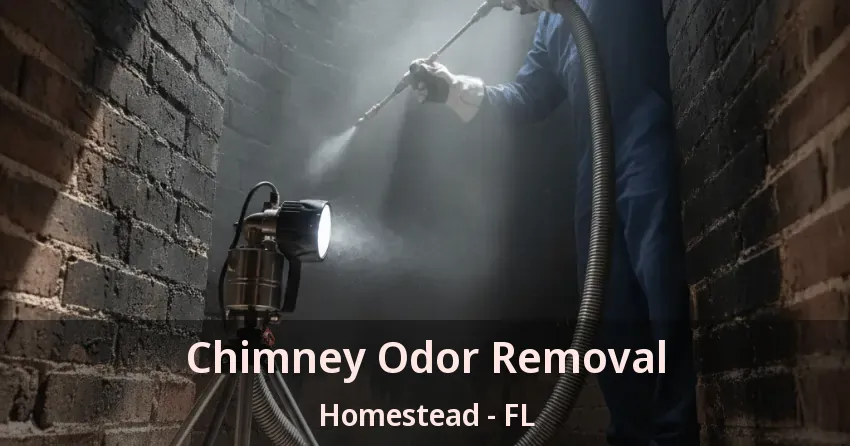Chimney Odor Removal Homestead - FL