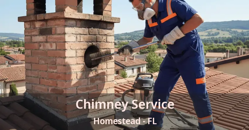 Chimney Service Homestead - FL