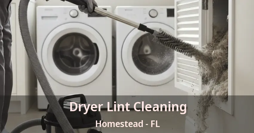 Dryer Lint Cleaning Homestead - FL