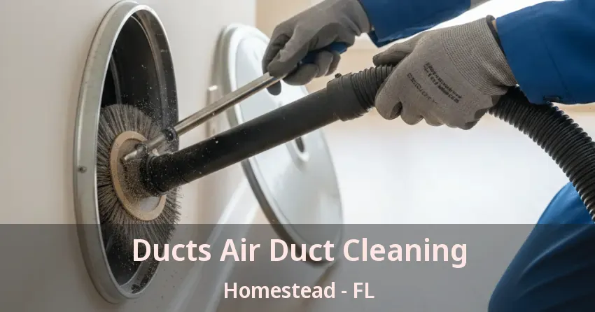 Ducts Air Duct Cleaning Homestead - FL