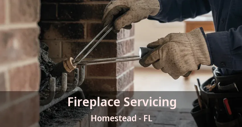 Fireplace Servicing Homestead - FL