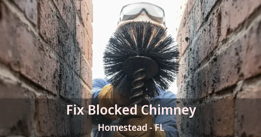 Fix Blocked Chimney Homestead - FL