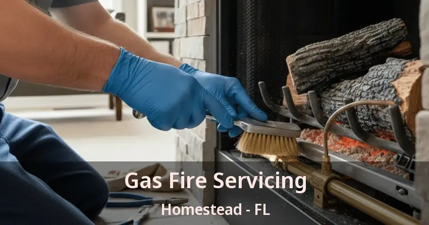 Gas Fire Servicing Homestead - FL