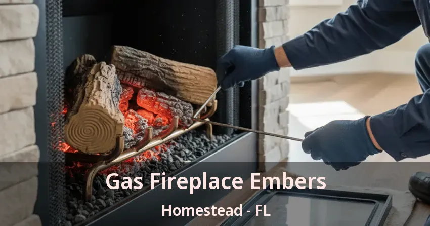 Gas Fireplace Embers Homestead - FL