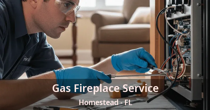 Gas Fireplace Service Homestead - FL