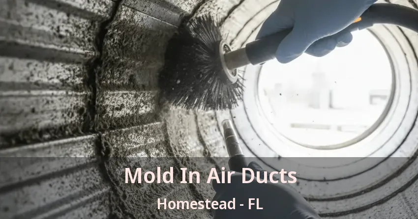 Mold In Air Ducts Homestead - FL