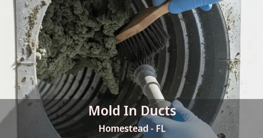 Mold In Ducts Homestead - FL