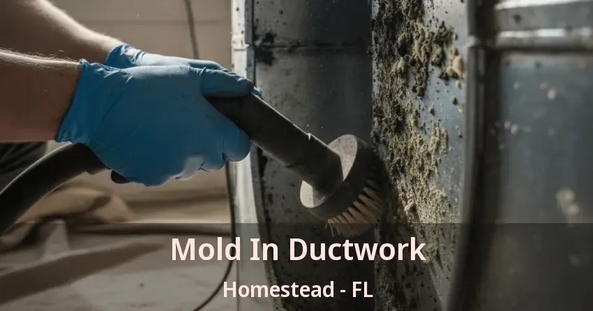 Mold In Ductwork Homestead - FL