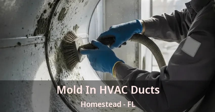 Mold In HVAC Ducts Homestead - FL