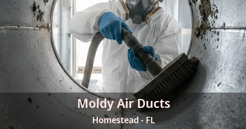 Moldy Air Ducts Homestead - FL